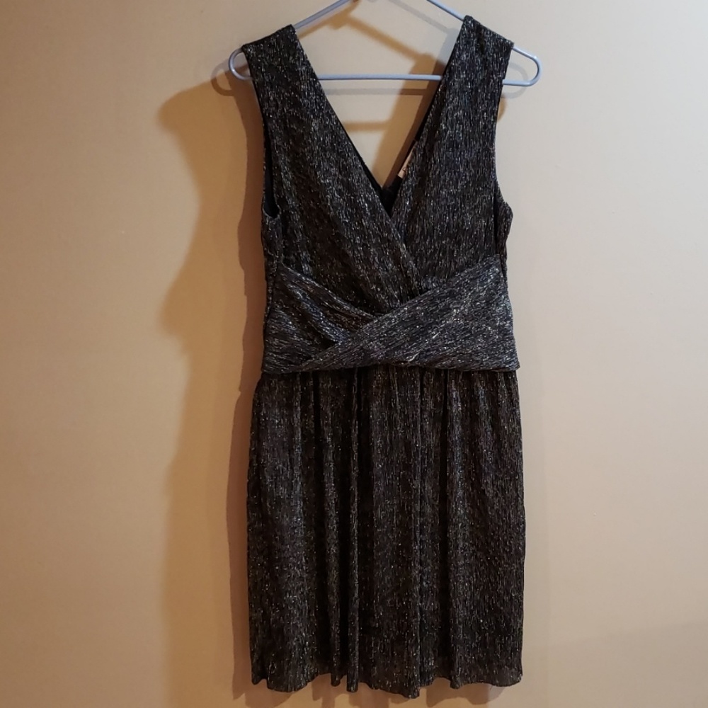 Shimmery mid length dress.